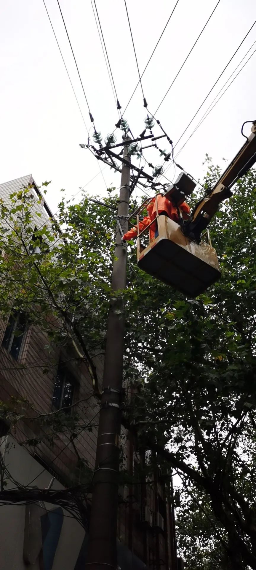 202307071248.jpg 202307071248.jpg