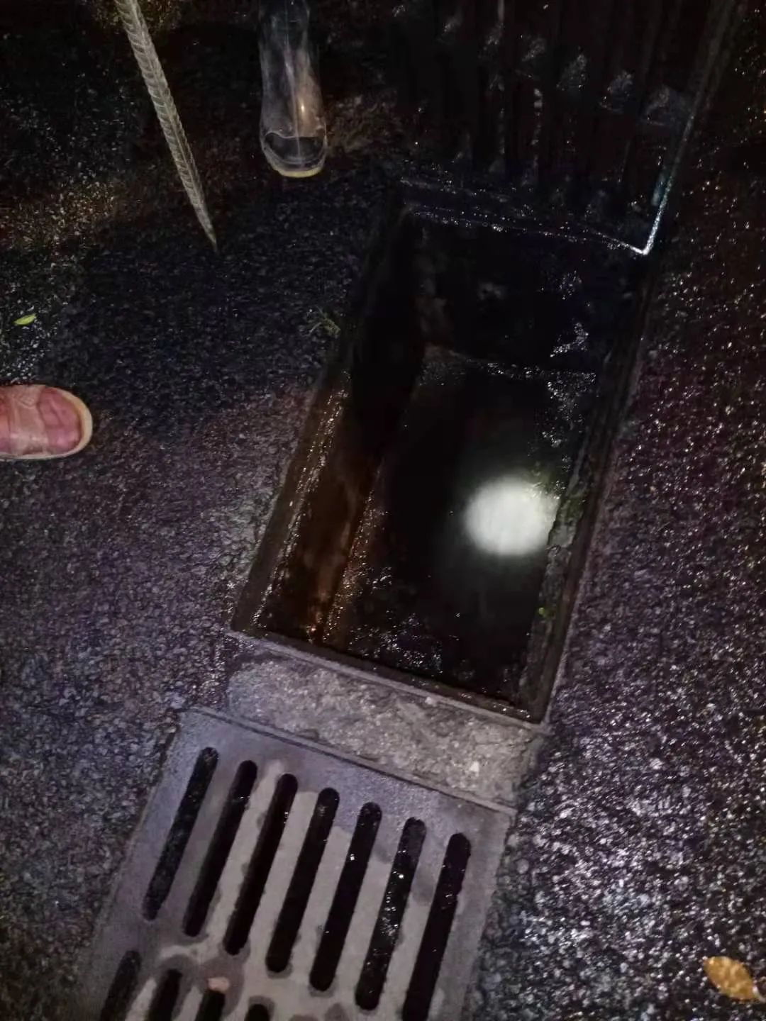 202307071483.jpg 202307071483.jpg