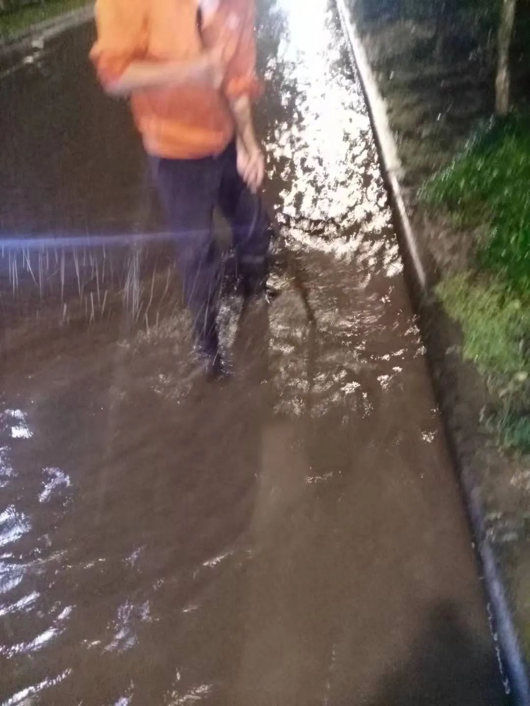 202307071687.jpg 202307071687.jpg