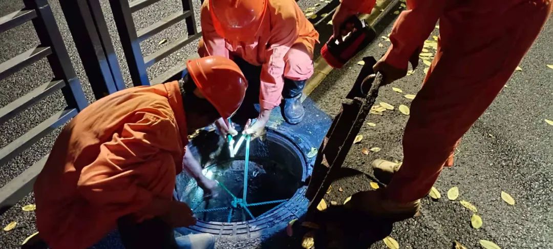 202307073950.jpg 202307073950.jpg